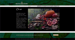 Desktop Screenshot of keltoiradio.org